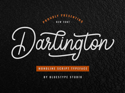 Darlington - Script Monoline Font branding design font font design illustration logo popular type typography ui