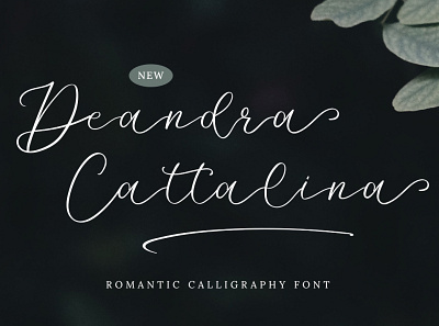 Deandra Cattalina Fonts branding design font font design fonts illustration signature trends type typedesign typography