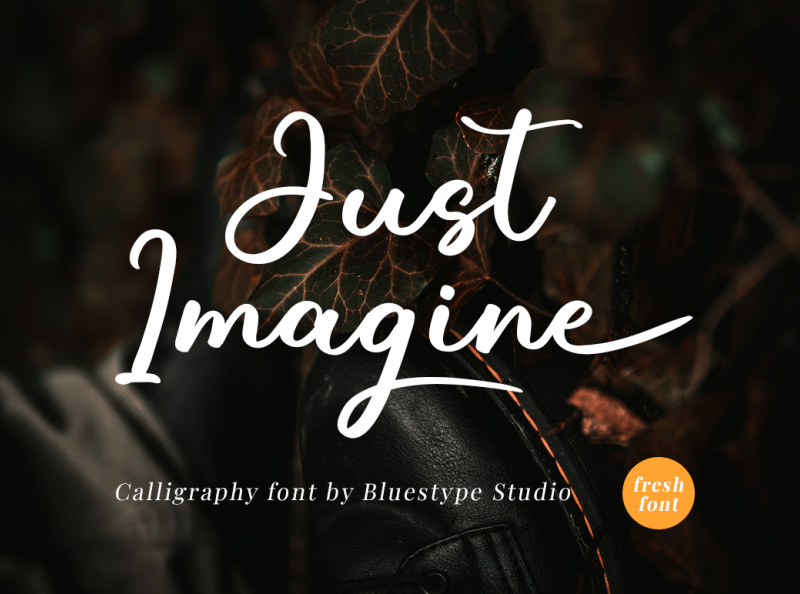 Just Imagine - Elegant Calligraphy Font by Bluestype Studio on Dribbble