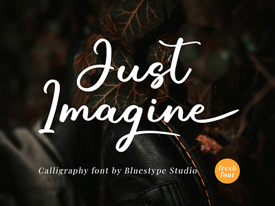 Just Imagine - Elegant Calligraphy Font