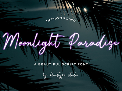 Moonlight Paradise - Script Font