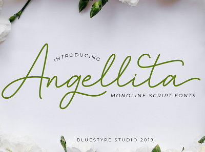 Angellita - Monoline Script Fonts branding design font font design handwritten illustration lettering logo signature type typography vector