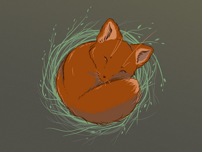 Little Fox