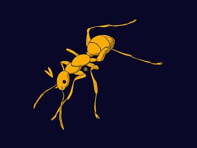 Huevember 4/30 ant drawing huevember illustration
