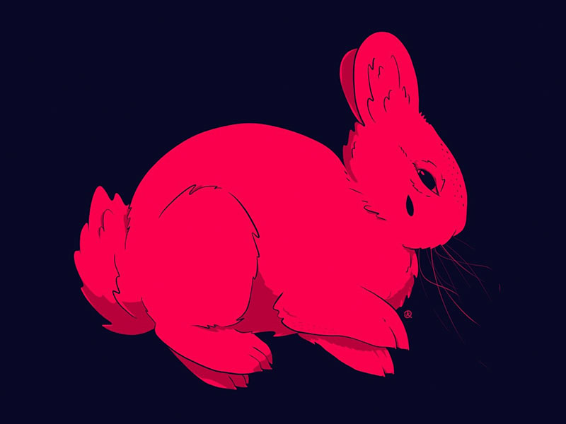 Huevember 10/30 bunniу ipadpro huevember drawing illustration