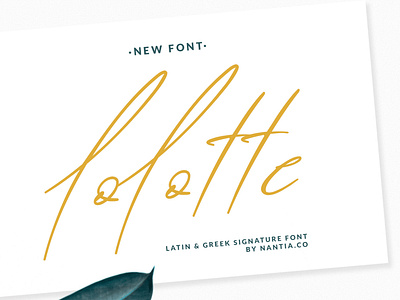 lolotte signature font