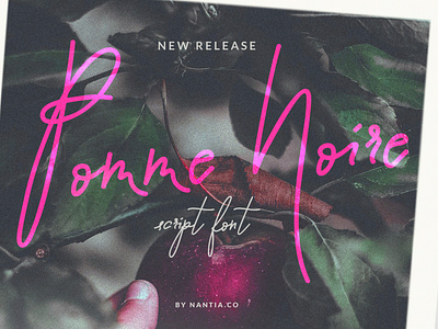 Script Font Pomme Noire