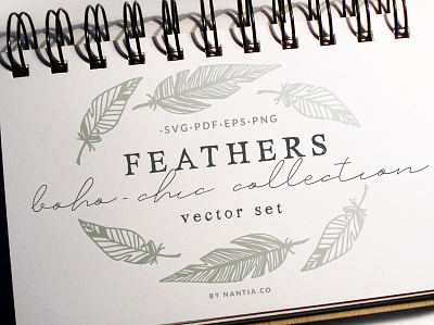 100 Boho Chic Feathers Vectors Mega Pack boho chic feathers feathers clipart illustration nantiaco graphics svg files