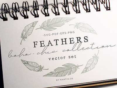 100 Boho Chic Feathers Vectors Mega Pack