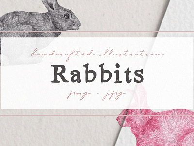 Hand drawn Rabbits Illustrations by Nantia co nantiaco graphics rabbit artwork rabbit clipart rabbits