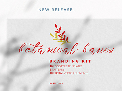 Botanical Basics Branding Kit branding kit nantiaco fonts nantiaco graphics seamless patterns typeface