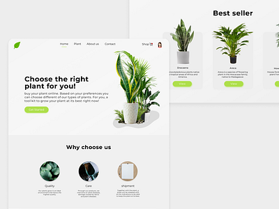 Plant site landing page concept design desktop design figma landingpage minimal plant ui ux website