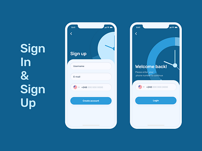 Sign In&Sign Up concept for Money Management App