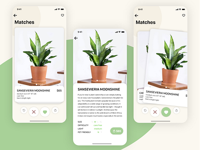Plant Tinder app design designslices designslicesuichallenge match plant shop swipe tinder ui