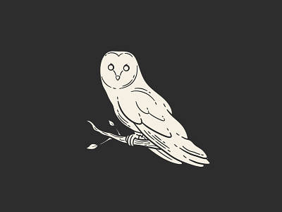 Owl illustration