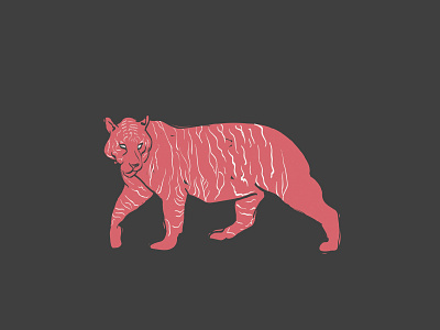 Tiger adobe illustrator asia backpacking culture illustration southeast asia tiger travel