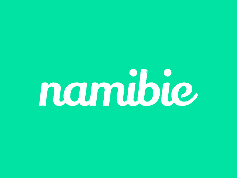 Namibie Logo Animation after effects gif kinetic logo animation logo design loop motion design motion graphics typogaphy