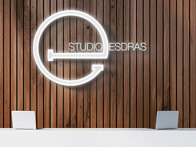 Studio Esdras Logo branding design illustration logo typography website