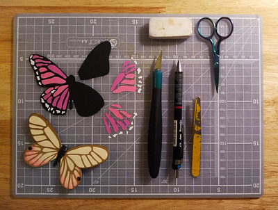 Butterfly Process concept design illustration paper art papercut