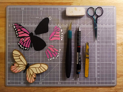 Butterfly Process