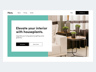 Plänts. | Houseplant delivery service branding design ui ux