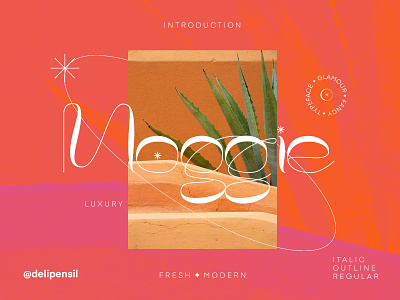 Moggie - Fresh Modern Typeface font homepage illustration inspiration modern orange serif thypography