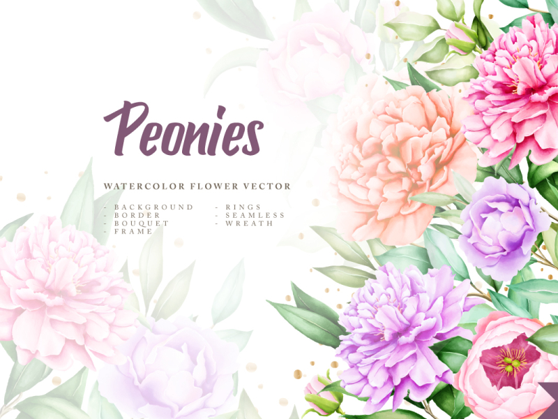 watercolor peonies wedding invitation card bundle by lukasdedi on Dribbble