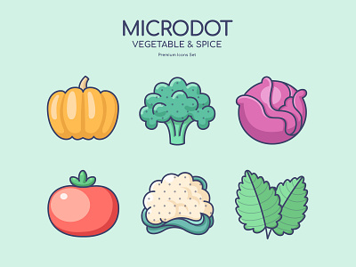 Vegetable & Spice design icon illustration ui vector vegetable