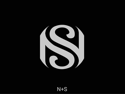 NS LOGO