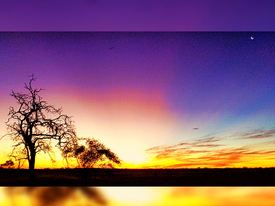 Colourful Outback Sunset blur colorful enhancement manipulation outback retouching silhouettes sunset