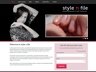 Style N File black grey hair pink website white