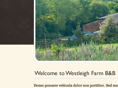 B&B Design Concept bb brown design farm homepage initial design