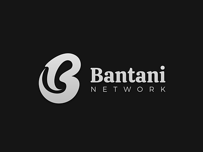 BANTANI Network Provider Network Logo design illustration logo ui