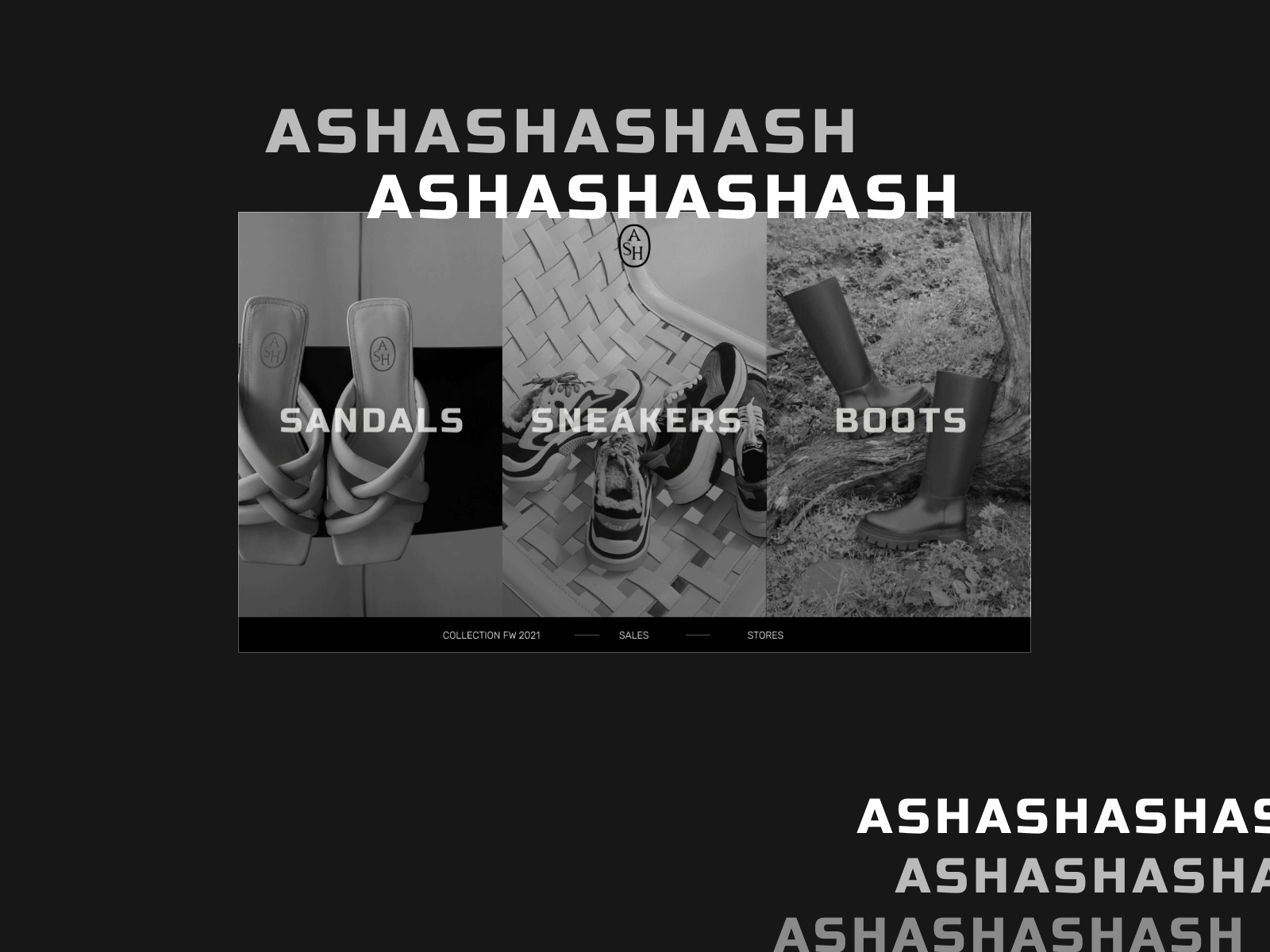 ASH concept branding uxdesign webdesign