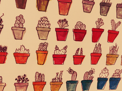 Cacti cacti cactus color drawing illustration plant watercolor