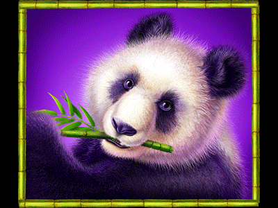 Big Panda animation casino digital art gambling game art game design graphic design online panda slot design slot machine symbol