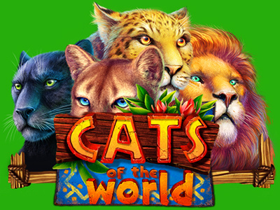 Slot machine - "Cats of the World" casino cats digital art gambling game art game design graphic design online slot design slot machine ui