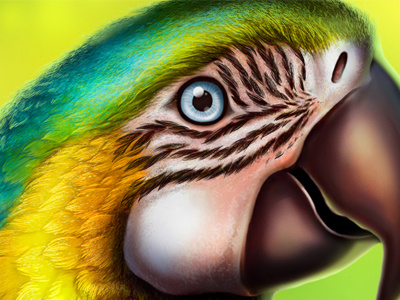 Parrot character character design digital art game art game design graphic design green parrot slot design yellow