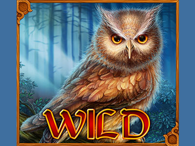 Special Slot symbol - WILD 🦉🦉🦉 casino character digital art gambling game art game art outsourcing game artist game design graphic design slot design slot machine slot machines symbol symbols