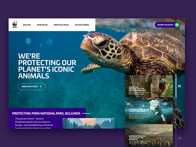 WWF Website Concept