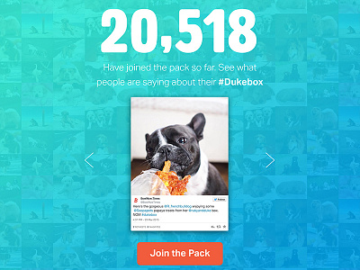 Ruby & Duke ticker blue dogs gradient photoshop sketch ticker tweet users