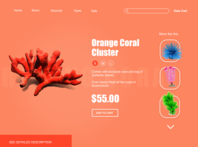 Coral Website aquarium colorful coral ecommerce ecommerce design reefing ui ui design uidesign uiux website