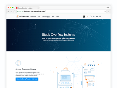 Stack Overflow Insights data illustration insights web