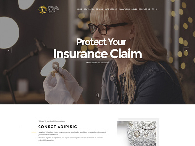 Protect Your Insurance Claim Web Design branding concept creative design illustration landing landing page landingpage site typography web webpage website