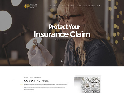 Protect Your Insurance Claim Web Design