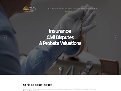 Insurance Civil Disputes & Probate Valuations branding concept creative design illustration landing landing page landingpage site typography web webpage website