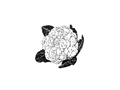 Cauliflower black and white cauliflower digital illustration vegetable