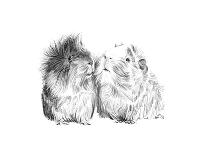 Guinea Pigs animal artistic black and white commissioned digital digital painting guinea pig illustration illustration art ipadpro pet portrait portrait painting realistic realistic drawing