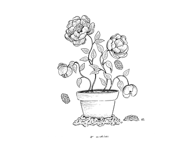 Mindless brains digital illustration illustration art inktober inktober2019 ipadpro mindless peonies plant