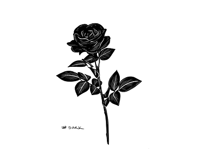 Dark black black and white dark digital drawing flower illustration illustration art inktober inktober2019 ipadpro negative painting plant rose